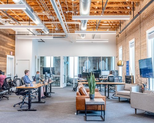 A bright office space with wooden desks and plants